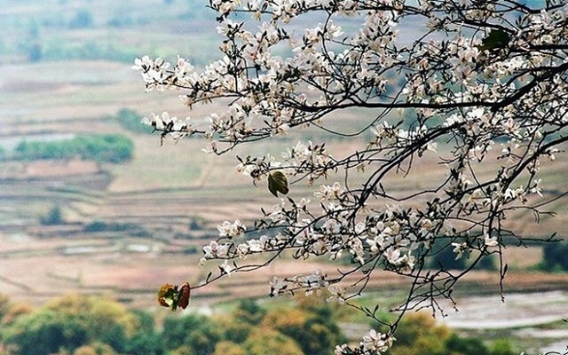 Du lịch Điện Biên nên đi mùa nào đẹp? Tổng quan thời tiết Điện Biên