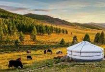 Cảnh quan tuyệt đẹp tại vườn quốc gia núi Khan Khentii Mông Cổ Cảnh quan tuyệt đẹp tại vườn quốc gia núi Khan Khentii Mông Cổ