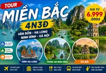 Tour Miền Bắc 4N3Đ: Hành Trình Ngắn – Khám Phá Trọn Vẹn Hạ Long – Ninh Bình – Hà Nội
